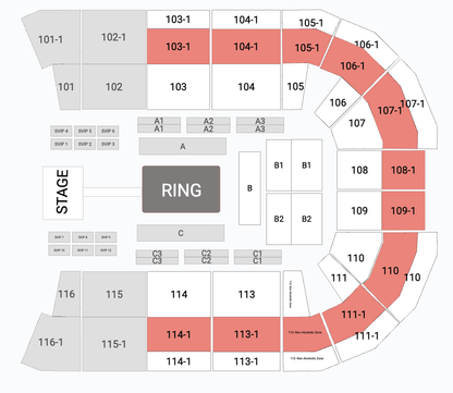 World Pro Arab Boxing Championship - Ticketezzy