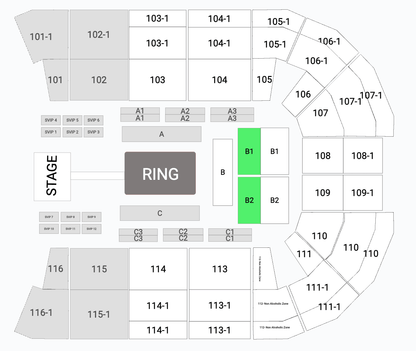 World Pro Arab Boxing Championship - Ticketezzy